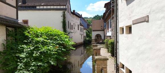 3 Schlafzimmer Haus in Kusel, Germany, Nr. 229395 3