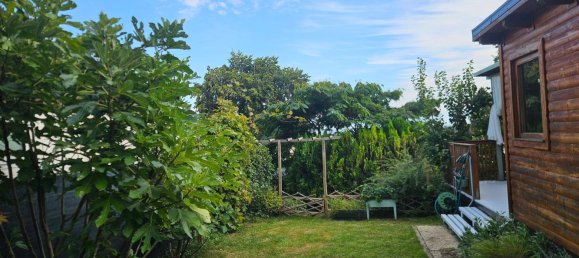 Studio in Donnerskirchen, Austria No. 243260 7