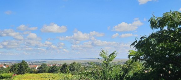 Studio in Donnerskirchen, Austria No. 243260 2