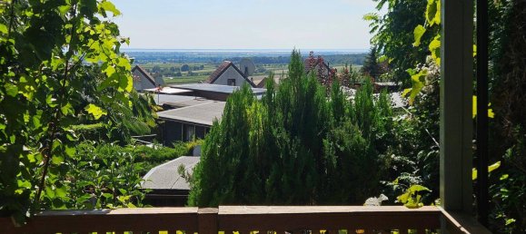 Studio in Donnerskirchen, Austria No. 243260 12