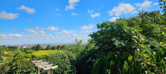 Studio in Donnerskirchen, Austria No. 243260 4