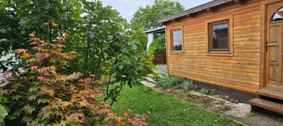 Studio in Donnerskirchen, Austria No. 243260 5