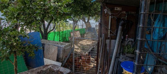 Дом с 3 спальнями в Байан, Португалия № 183953 22