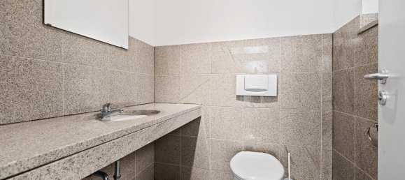 339m² Commercial property in Bodenseekreis, Germany No. 61686 8