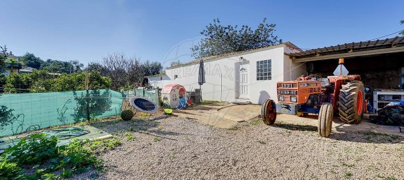 15 غرف نوم منزل في Loule, Portugal رقم 16962 48