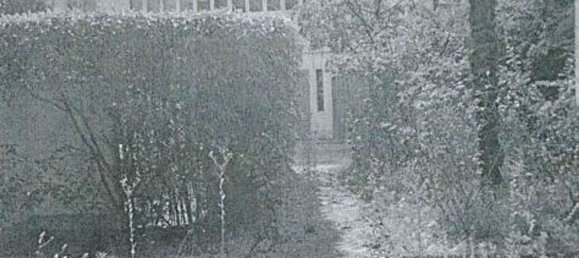 2-Zimmer Doppelhaus in Abbiategrasso, Italy, Nr. 9381 19