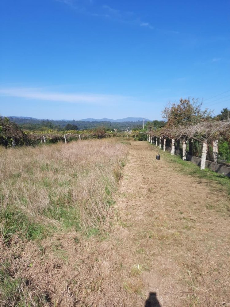 1118m² Commercial property in Pontevedra, Spain No. 281055