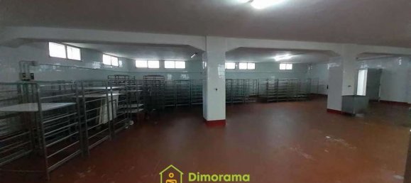 3600m² Warehouse in Ozieri, Italy No. 322559 4