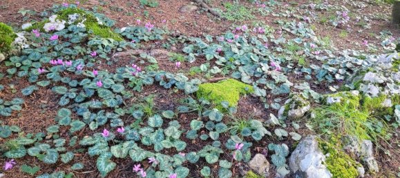 Пентхаус с 3 спальнями в Кастьоне делла Презолана, Италия № 357989 20