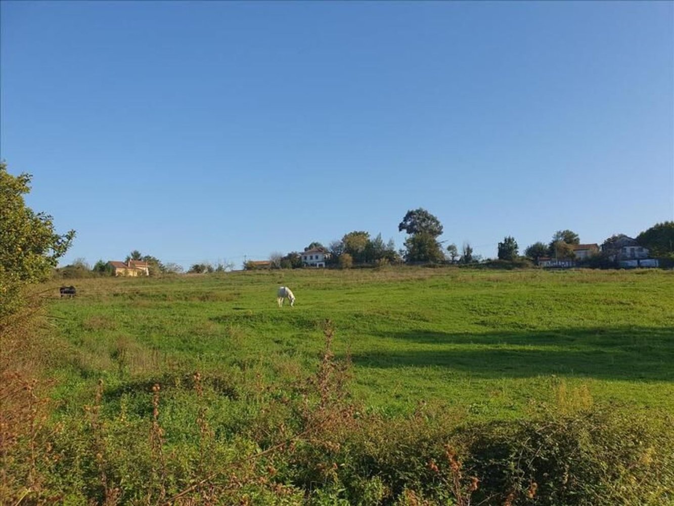 Земельный участок в Овьедо, Испания № 154372