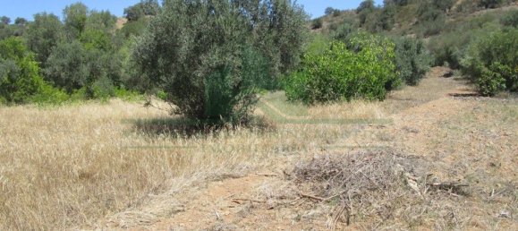1560m² Land in Azinhal, Portugal No. 69744 6