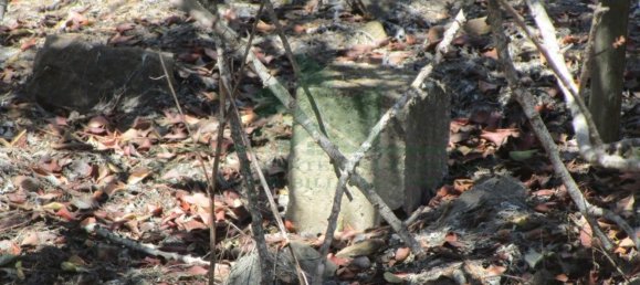 1560m² Land in Azinhal, Portugal No. 69744 10