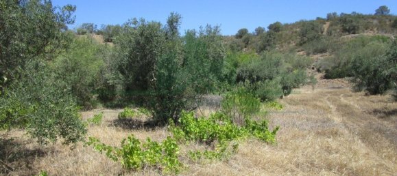 1560m² Land in Azinhal, Portugal No. 69744 20