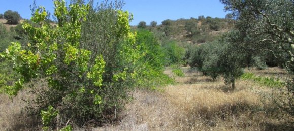 1560m² Land in Azinhal, Portugal No. 69744 7