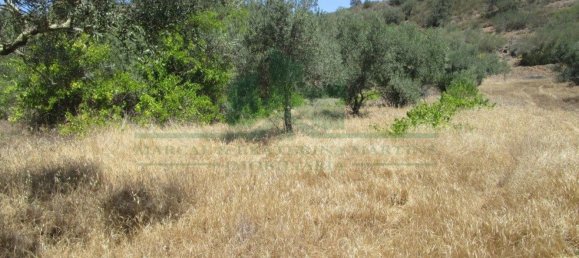 1560m² Land in Azinhal, Portugal No. 69744 3