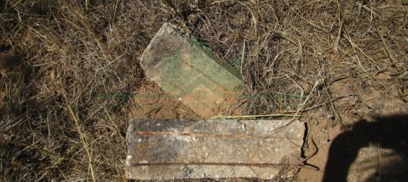 1560m² Land in Azinhal, Portugal No. 69744 2