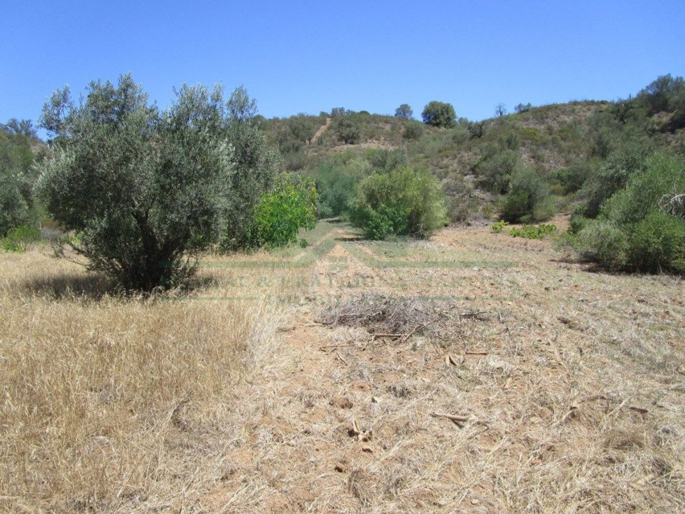 1560m² Land in Azinhal, Portugal No. 69744