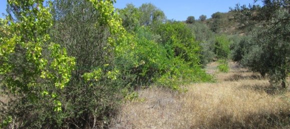 1560m² Land in Azinhal, Portugal No. 69744 8