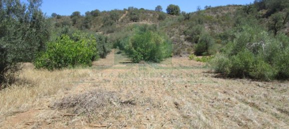 1560m² Land in Azinhal, Portugal No. 69744 4