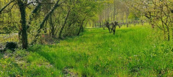 Casa de 5 divisões em Fiorano Modenese, Italy N.º 284011 21