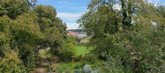 5 rooms House in Marburg-Biedenkopf, Germany No. 294631 10