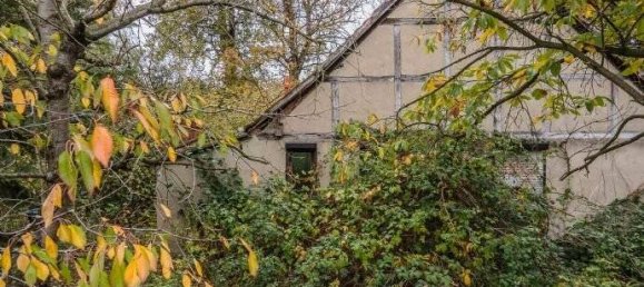 Дом с 5 комнатами в Пригниц, Германия № 84225 17