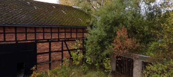 Дом с 5 комнатами в Пригниц, Германия № 84225 8