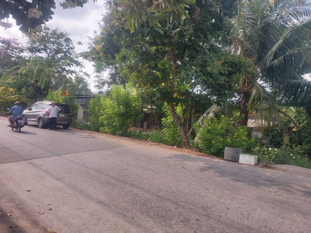 2450m² Land in Binh Chanh, Vietnam No. 15867