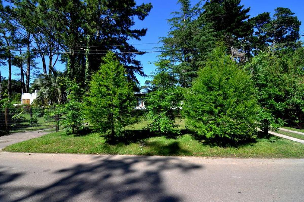 Casa T3 em Maldonado, Uruguay N.º 11151