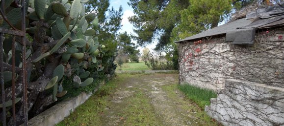 12 rooms Villa in Cutrofiano, Italy No. 236408 31