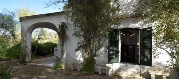 12 rooms Villa in Cutrofiano, Italy No. 236408 50