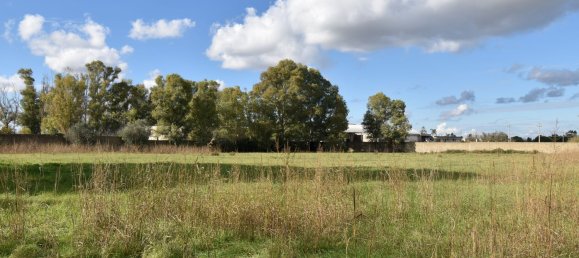 12 rooms Villa in Cutrofiano, Italy No. 236408 45