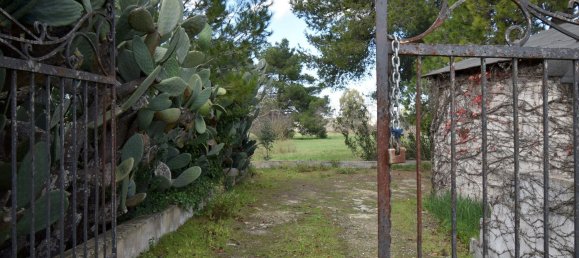 12 rooms Villa in Cutrofiano, Italy No. 236408 30