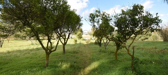 12 rooms Villa in Cutrofiano, Italy No. 236408 43