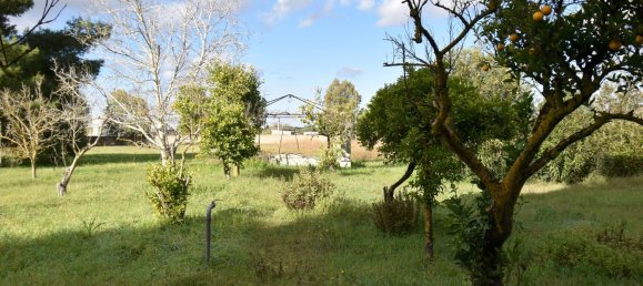 12 rooms Villa in Cutrofiano, Italy No. 236408 44