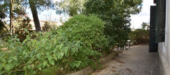 12 rooms Villa in Cutrofiano, Italy No. 236408 47