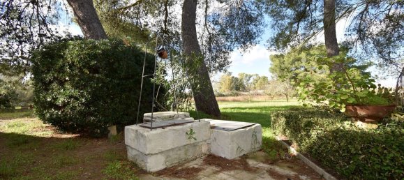 12 rooms Villa in Cutrofiano, Italy No. 236408 27