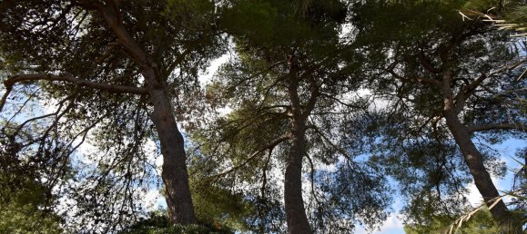 12 rooms Villa in Cutrofiano, Italy No. 236408 28