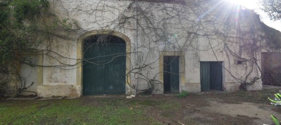 12 rooms Villa in Cutrofiano, Italy No. 236408 29