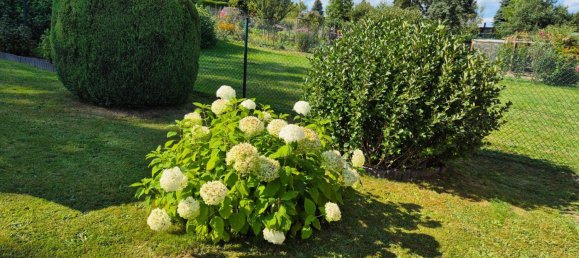  قطعة أرض في Dresden, Germany رقم 236358 17