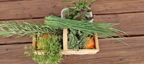  قطعة أرض في Dresden, Germany رقم 236358 20