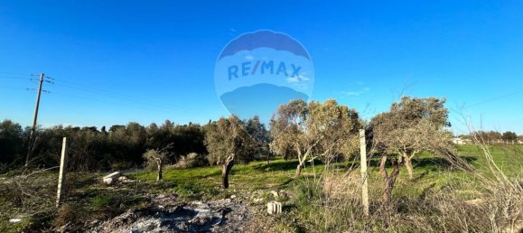 300m² Warehouse in Pachino, Italy No. 53326 22