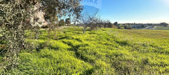 300m² Warehouse in Pachino, Italy No. 53326 19