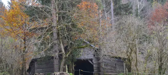 13 rooms Land in St. Jakob im Rosental, Austria No. 23757 5