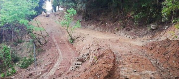 Terrain à Cervione, France No. 61639 2