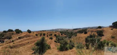 Terreno em Mijas, Spain N.º 139787