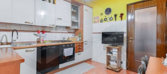 4غرفة شقة في San Donato Milanese, Italy رقم 22815 19