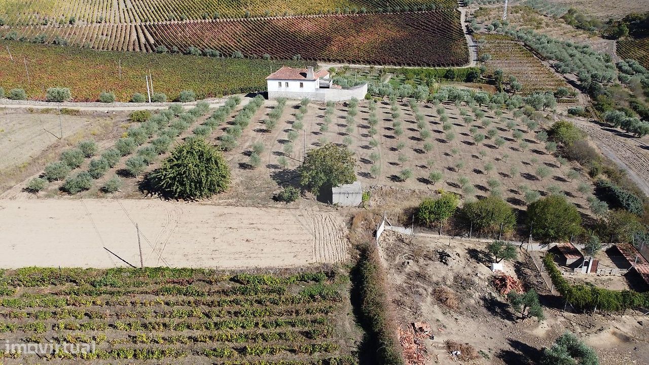 Terreno en Sao Joao da Pesqueira, Portugal 7840 m² No. 262612