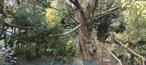 3 Schlafzimmer Haus in Oviedo, Spain, Nr. 28831 29