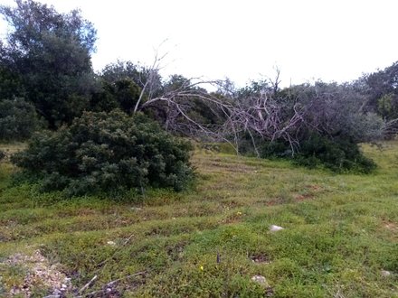 Земельный участок 1930м² в Лоле, Португалия № 60007